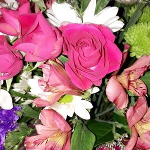 Meet your Posher, Dani